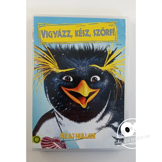 Vigyázz, kész, szörf! (DVD)