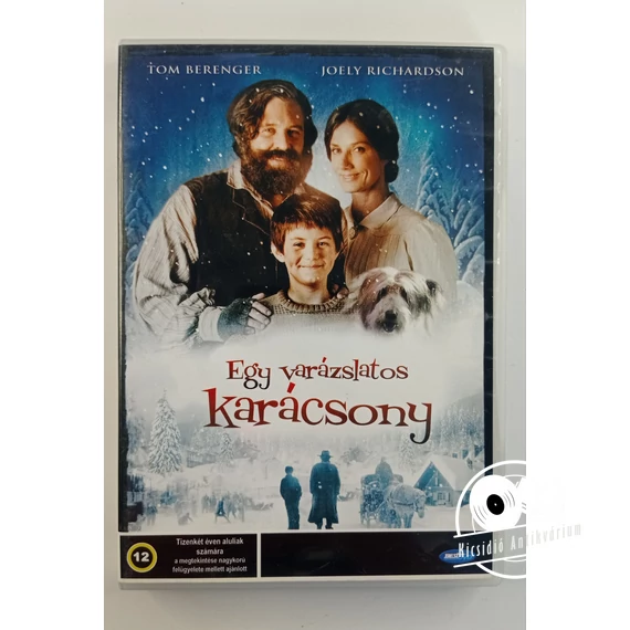 Egy varázslatos karácsony (DVD)