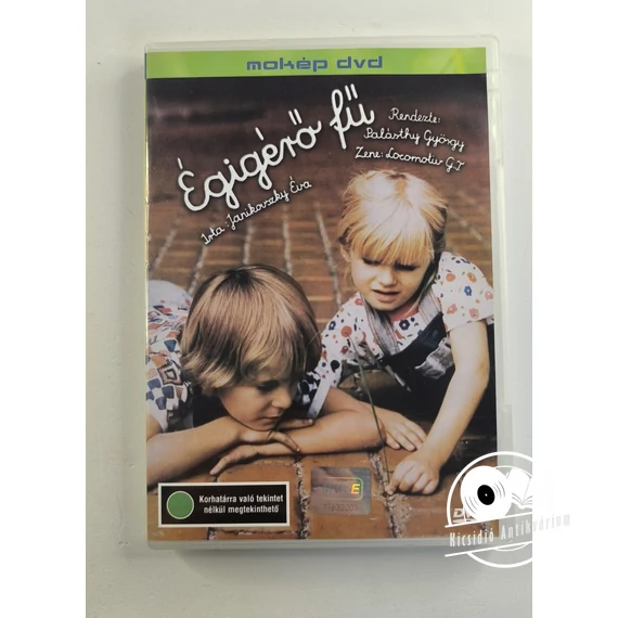 Égígérő fű (DVD)