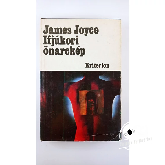 James Joyce - Ifjúkori ​önarckép