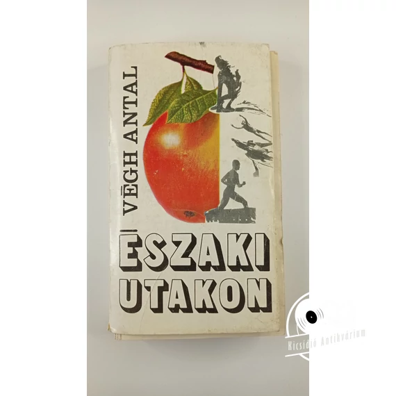 Végh Antal - Északi ​utakon