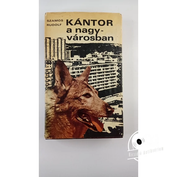 Szamos Rudolf - Kántor ​a nagyvárosban