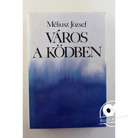 Méliusz József - Város ​a ködben
