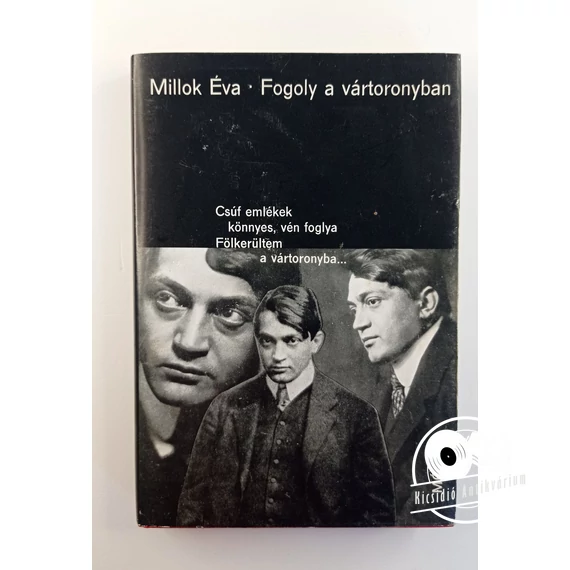Millok Éva - Fogoly ​a Vártoronyban (Ady Endre életregénye)