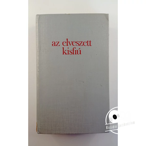 Az ​elveszett kisfiú (Amerikai elbeszélők a két világháború között)