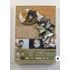 Mogyorótündér (DVD)